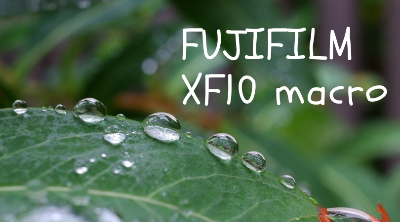 富士フイルムXF10でデジタルテレコンを使ってマクロ撮影を検証してみた。