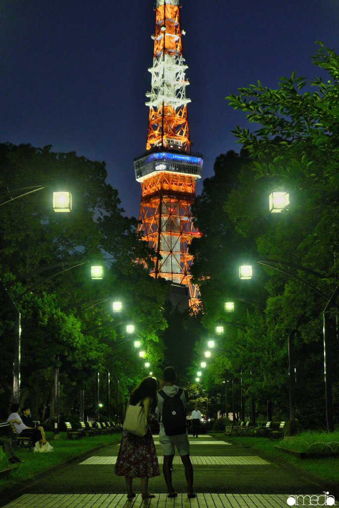 夜景フォトウォーク 芝公園４号地と世界貿易センタービルディングで東京タワーを撮影してきた Amedia Online