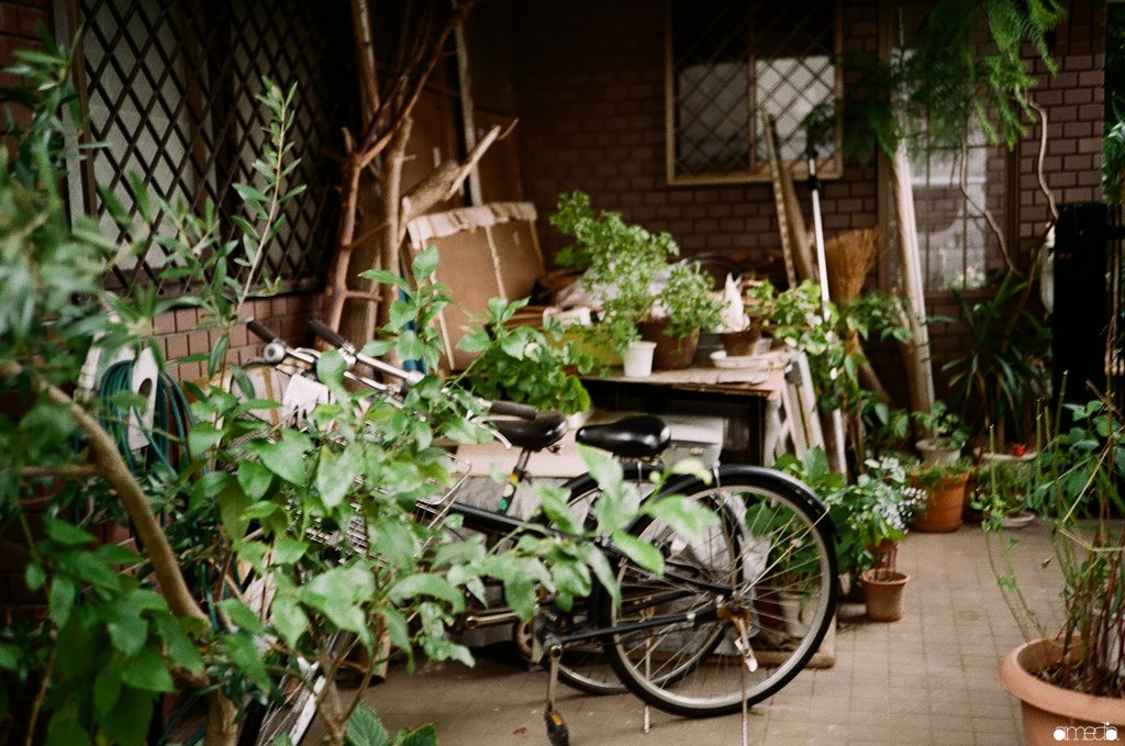 作例 超小型フィルムカメラrollei35 S をレビュー Amedia Online