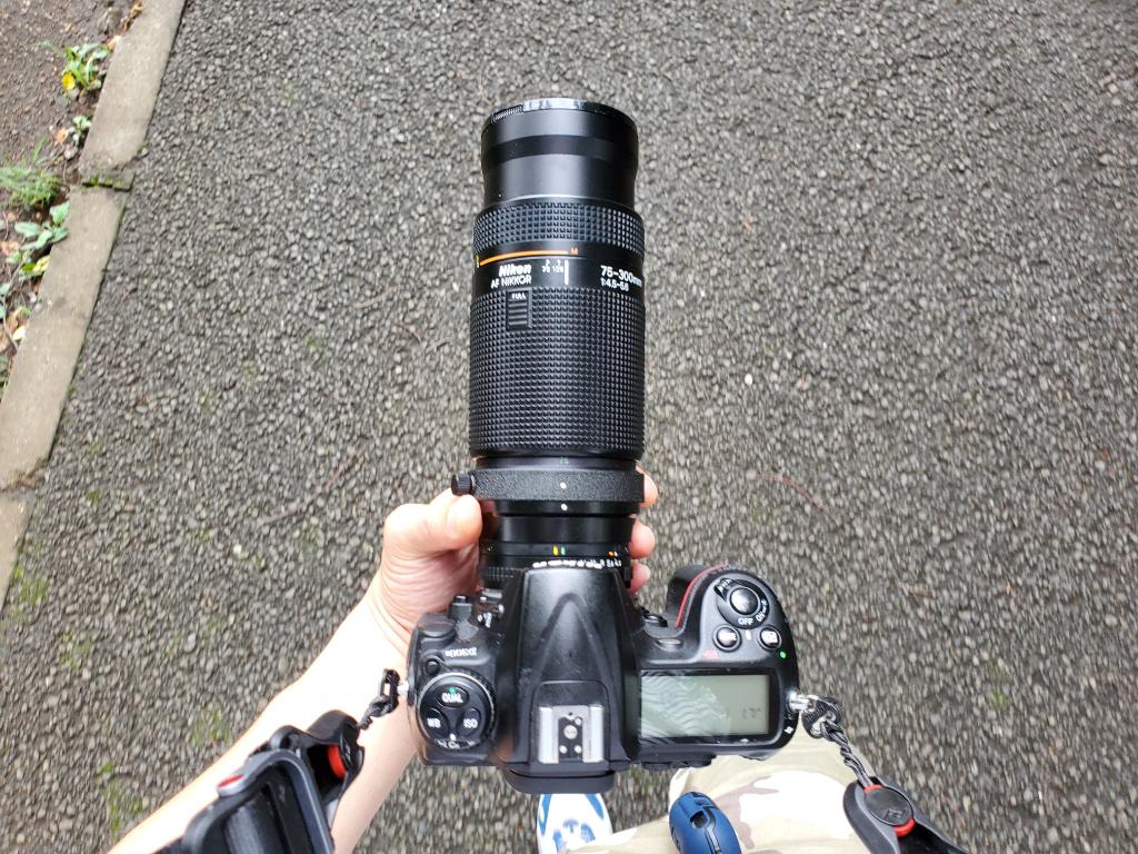 カメラ レンズ(ズーム) AF NIKKOR 75-300mm F4.5-5.6【美品】ニコン望遠ズーム yxvmnqAdDt 
