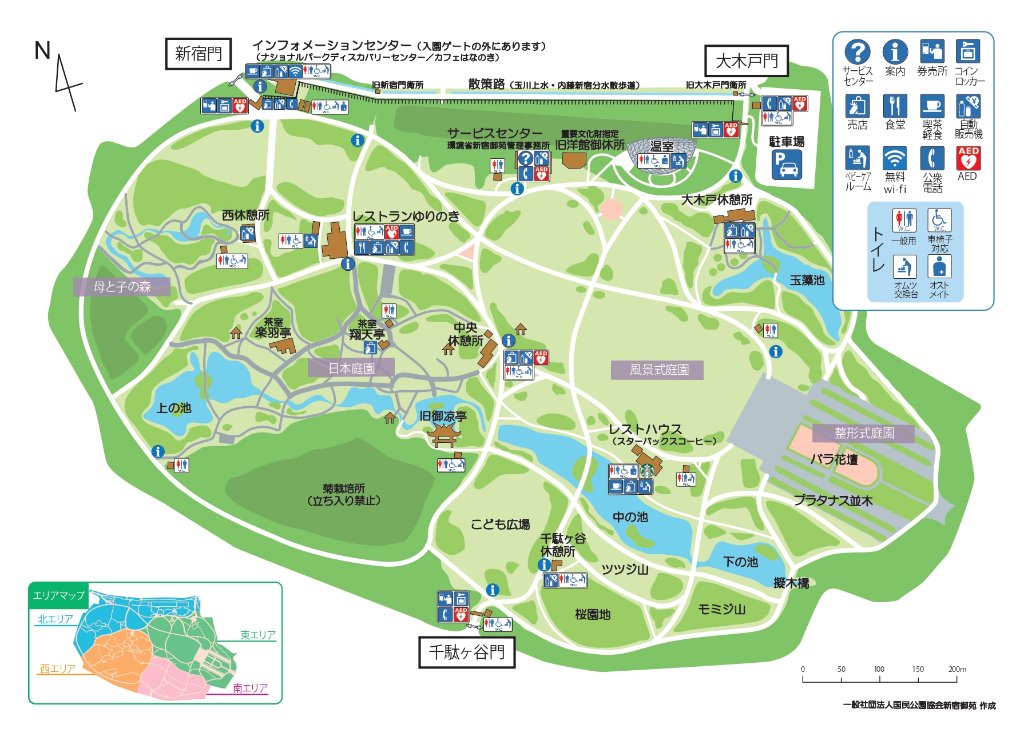 早朝開園の新宿御苑に野鳥撮影をしに行ってきました Amedia Online