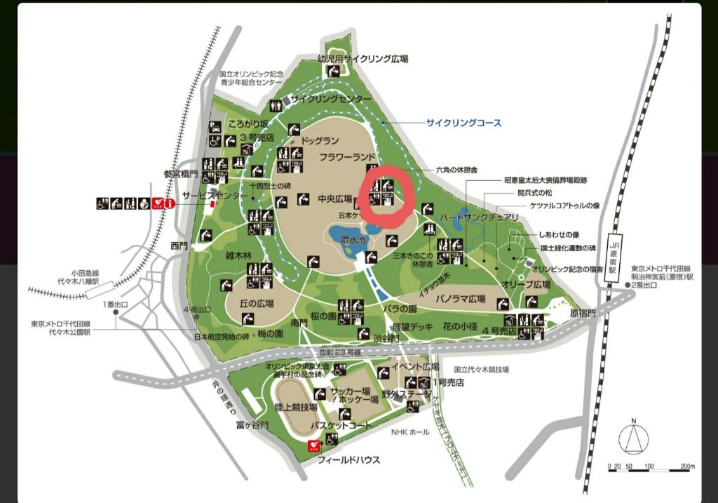 2月上旬の代々木公園は河津桜とメジロが楽しめる 21年 Amedia Online