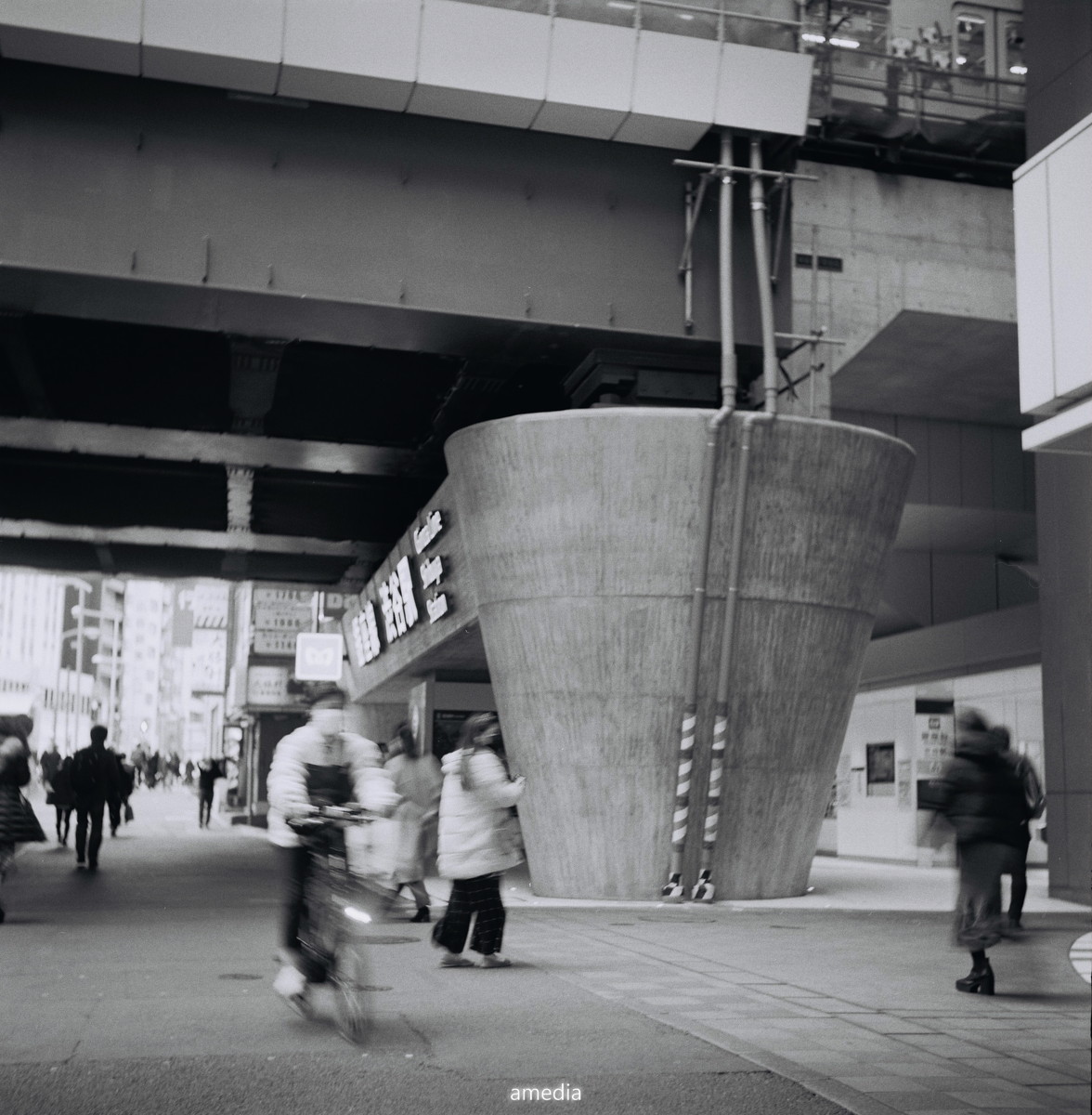 YashicaFlex(新B型)とモノクロフィルムで撮ってきた│amedia-online