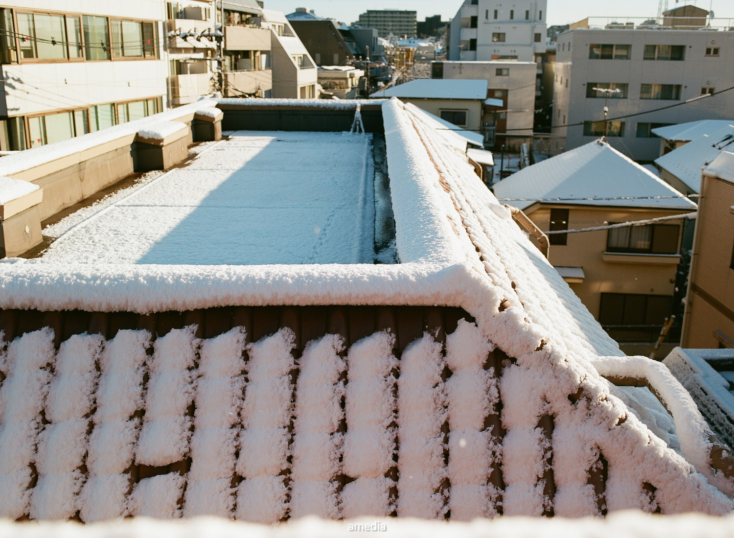 作例】PENTAX645とPENTAX-A 645 55mmF2.8で撮る 東京の雪景色│amedia ...