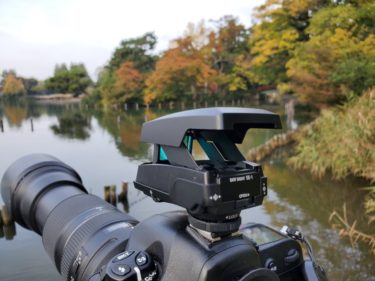 作例・レビュー]tokina af 400mmf5.6 sd at-x(Kマウント) ｜フィルム